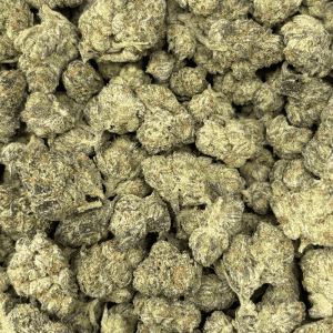 GUSHERS (SMALLS) - TRIP EXOTICS (DEAL OF THE WEEK) - Image 2