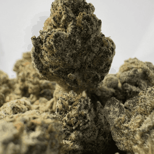 GUSHERS (SMALLS) (TRIP EXOTICS)