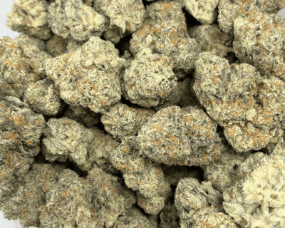 LONDON POUND CAKE (BIGS) - TRIP EXOTICS - Image 3