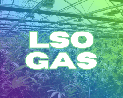 LSO Gas