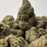 LONDON POUND CAKE (BIGS) (TRIP EXOTICS)