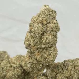 MAC STOMPER (EXOTIC)