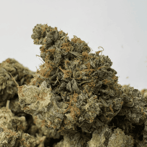 MASTER TUNA (BIGS) (TRIP GAS)