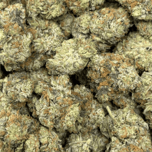 MASTER TUNA (BIGS) - TRIP GAS - Image 2