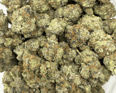 MASTER TUNA (BIGS) - TRIP GAS - Image 3