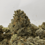 MASTER TUNA (SMALLS) (TRIP GAS)