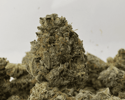 MASTER TUNA (SMALLS) (TRIP GAS)