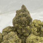 PINK BUBBA (MEGA gAS)