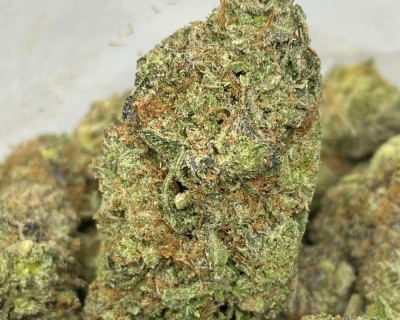 PINK CIA (MEGA GAS)
