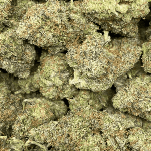 PINK CIA (MEGA GAS) - Image 2