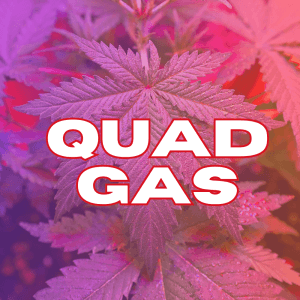 Quad Gas