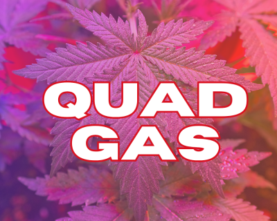 Quad Gas