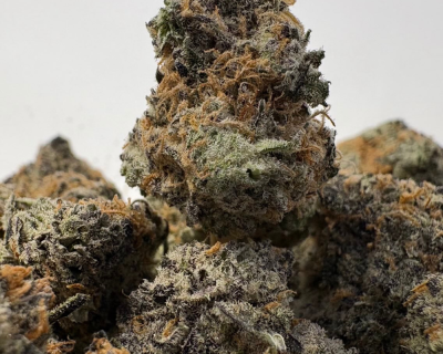 PEYOTE COOKIES (SMALLS) - TRIP EXOTICS