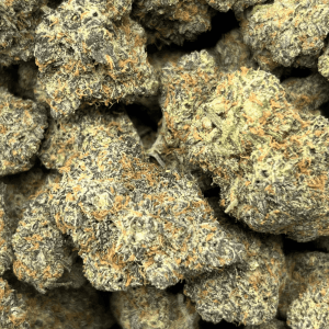 PEYOTE COOKIES (BIGS) - TRIP EXOTICS - Image 2