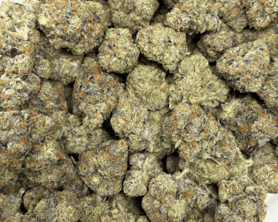 PINK BADDIE (BIGS) - QUAD GAS - Image 3