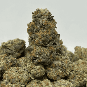 PINK BADDIE (BIGS) (QUAD GAS)