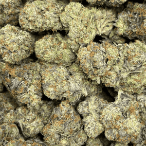 PINK BADDIE (BIGS) - QUAD GAS - Image 2