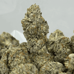 PINK BADDIE (SMALLS) (QUAD GAS)