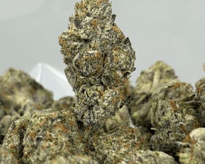 PINK BADDIE (SMALLS) (QUAD GAS)