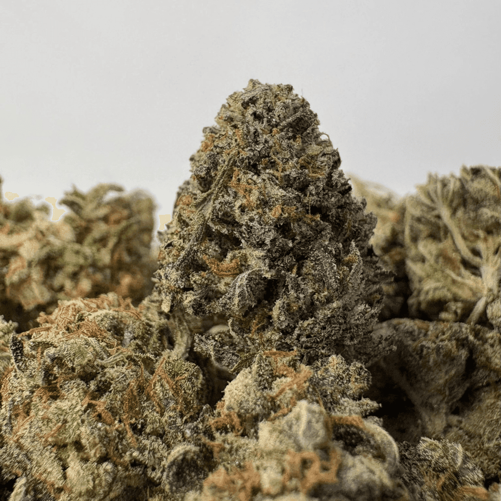 PINK BOBA FETT (SMALLS) (TRIP GAS) PINK BOBA FETT (SMALLS) (TRIP GAS)