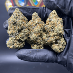 PINK BOP (BIGS)(EXTREME GAS)