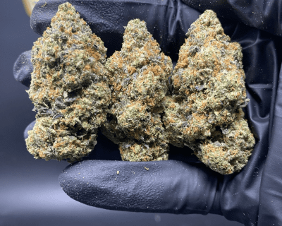 PINK BOP (BIGS)(EXTREME GAS)