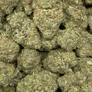 PINK DON (MEGA GAS) - Image 2