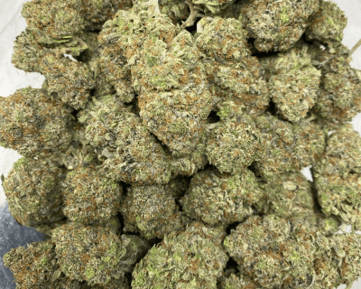 PINK DON (MEGA GAS) - Image 3