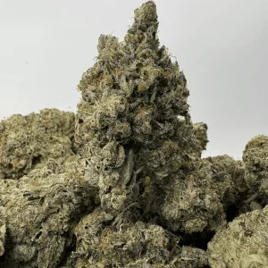 PINK FUGAZZI (BIGS) - QUAD GAS