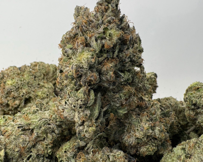 PINK FUGAZZI (BIGS) - QUAD GAS