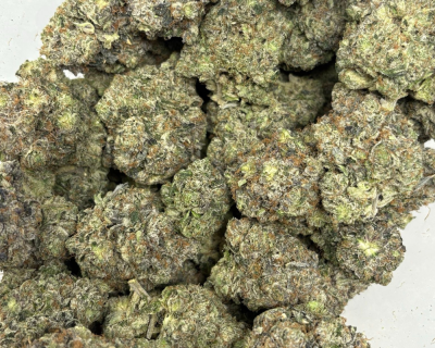 PINK FUGAZZI (BIGS) - QUAD GAS - Image 3