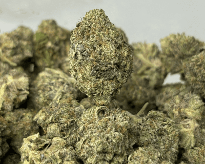 PINK JETFUEL (SMALLS) (TRIP GAS)