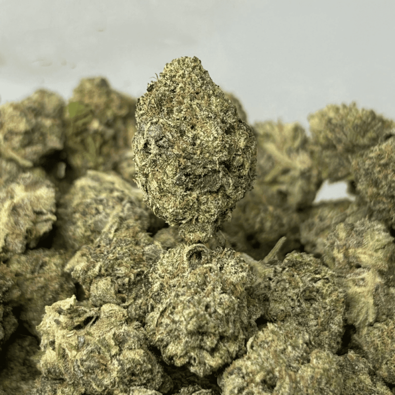 PINK JETFUEL (SMALLS) (TRIP GAS)