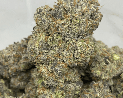 PINK LOCO (MEGA GAS)