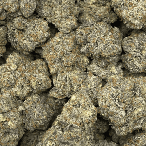 PINK LOCO (MEGA GAS) - Image 2