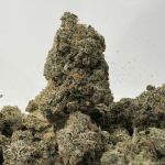 PINK MK ULTRA (BIGS) (QUAD GAS)