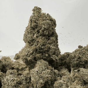 PINK MK ULTRA (BIGS) (QUAD GAS)