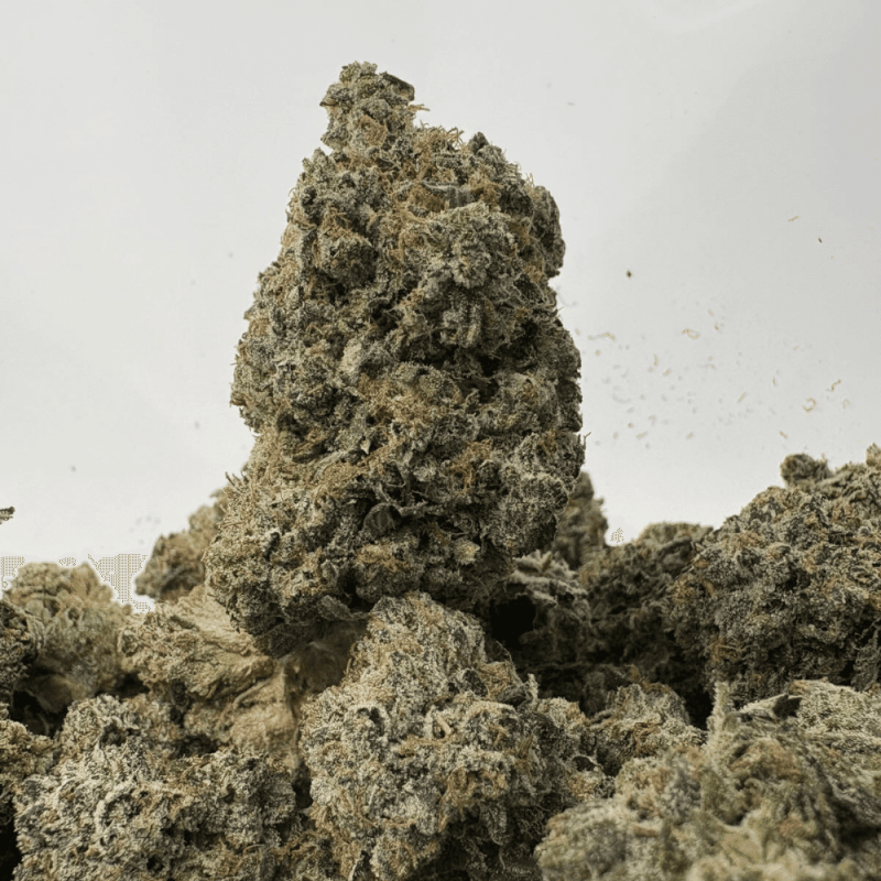 PINK MK ULTRA (BIGS) (QUAD GAS)