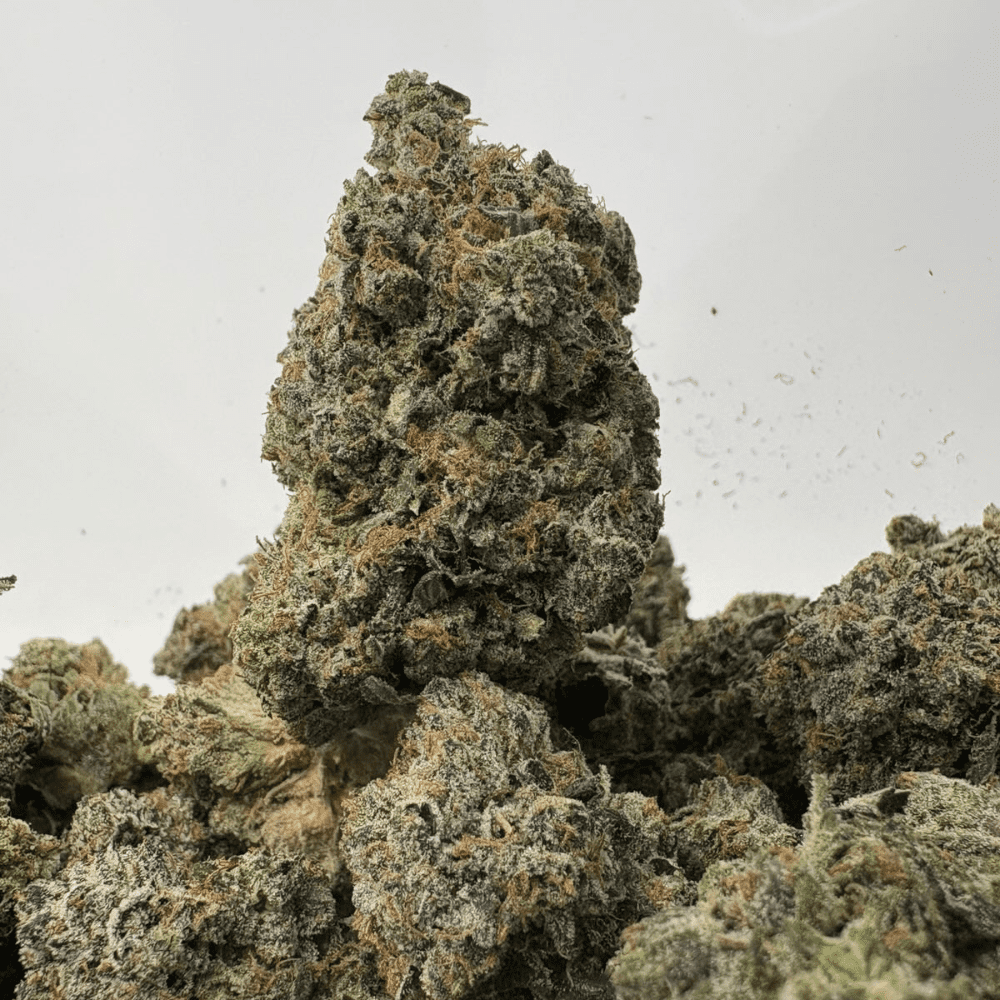 PINK MK ULTRA (BIGS) (QUAD GAS) PINK MK ULTRA (BIGS) (QUAD GAS)