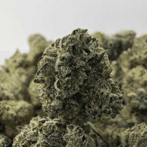 PINK MK ULTRA (SMALLS) (QUAD GAS)