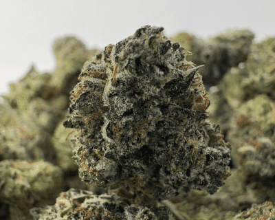 PINK MK ULTRA (SMALLS) (QUAD GAS)