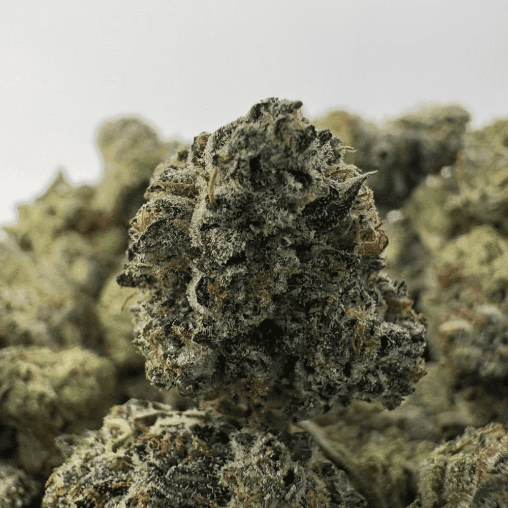 PINK MK ULTRA (SMALLS) (QUAD GAS)