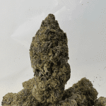 PINK NITROUS (BIGS) (LSO GAS)