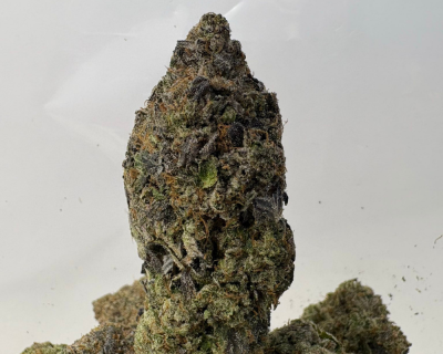 PINK NITROUS (BIGS) (LSO GAS)