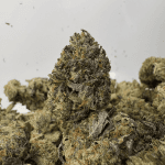 PINK NITROUS (SMALLS) (LSO GAS)