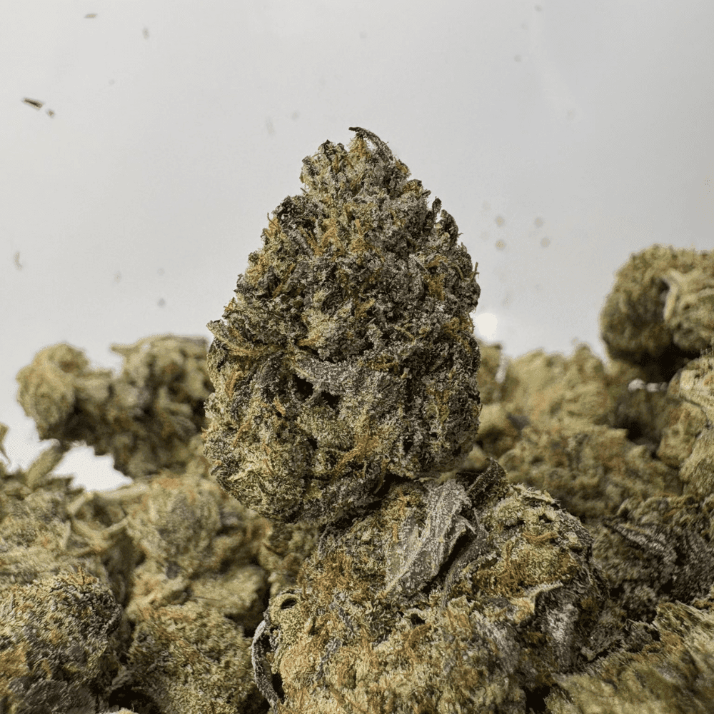 PINK NITROUS (SMALLS) (LSO GAS)