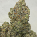 PINK PUSSY (MEGA GAS)