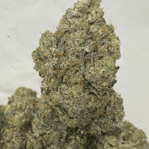 PINK PUSSY (MEGA GAS)