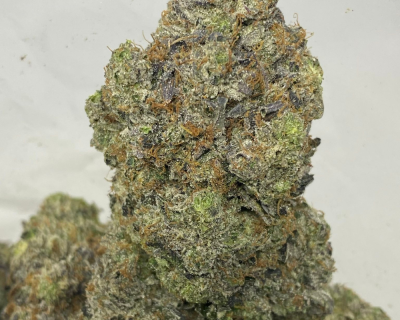 PINK PUSSY (MEGA GAS)