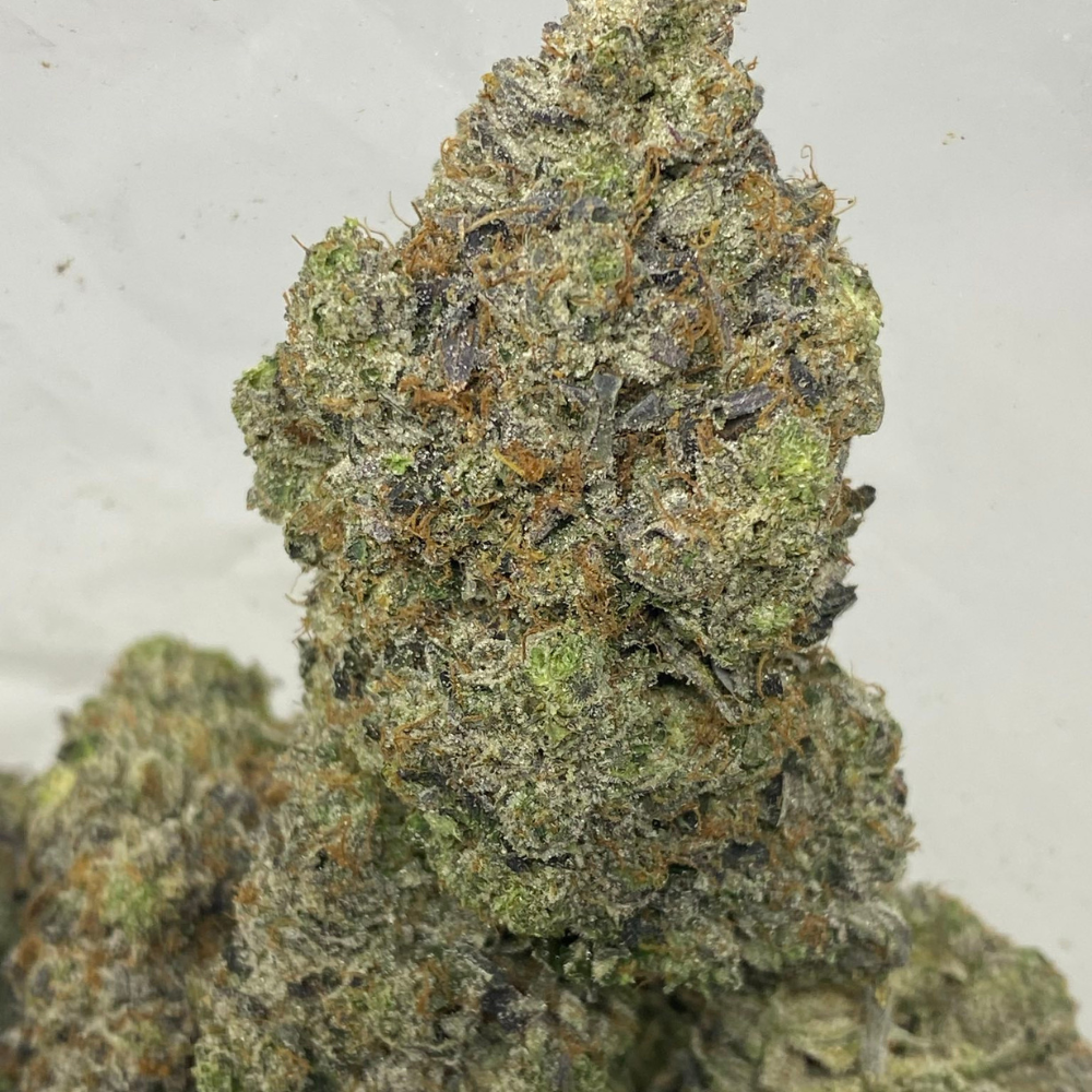 PINK PUSSY (MEGA GAS)